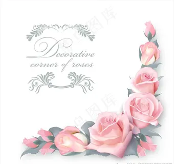 粉色玫瑰花背景图片