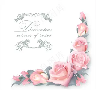 粉色玫瑰花背景图片