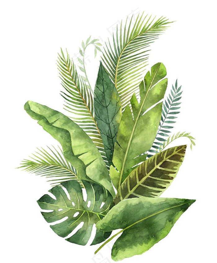 手绘清新绿色蕨类植物芭蕉图片(5000X6250(DPI:300))psd模版下载