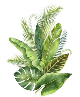 手绘清新绿色蕨类植物芭蕉图片