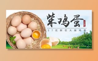 柴鸡蛋banner图片