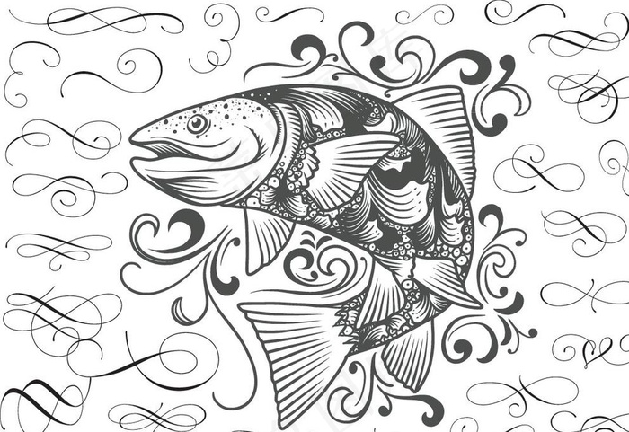 手绘素描鲤鱼图片