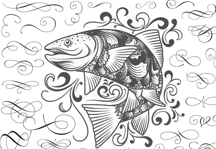 手绘素描鲤鱼图片eps,ai矢量模版下载