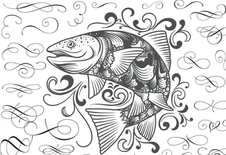 手绘素描鲤鱼图片