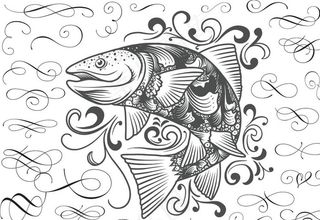 手绘素描鲤鱼图片