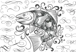 手绘素描鲤鱼图片