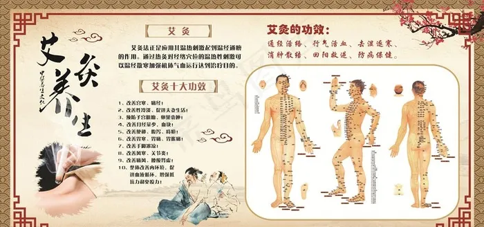 艾灸穴位展板图片cdr矢量模版下载