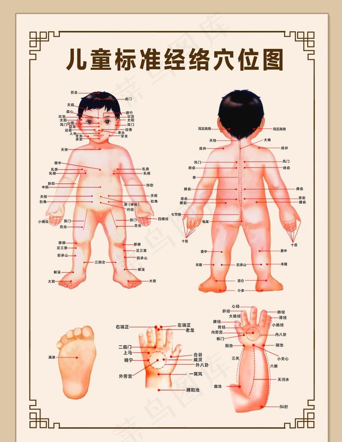 小儿推拿经络图图片