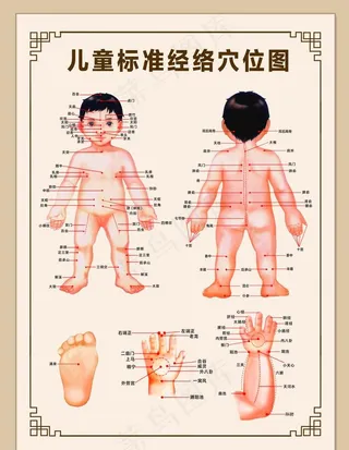 小儿推拿经络图图片