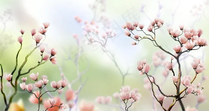 移门花卉图片(6000X3375(DPI:300))psd模版下载