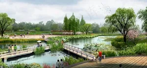 荷塘公园风景效果图图片