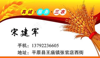 粮食名片图片