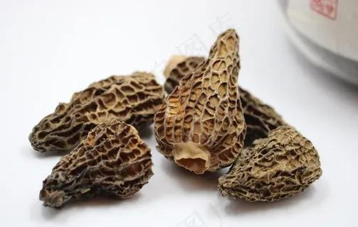 羊肚菌图片 羊肚菌图片