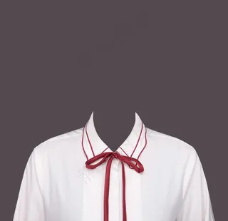 女式衣服 蝴蝶结图片