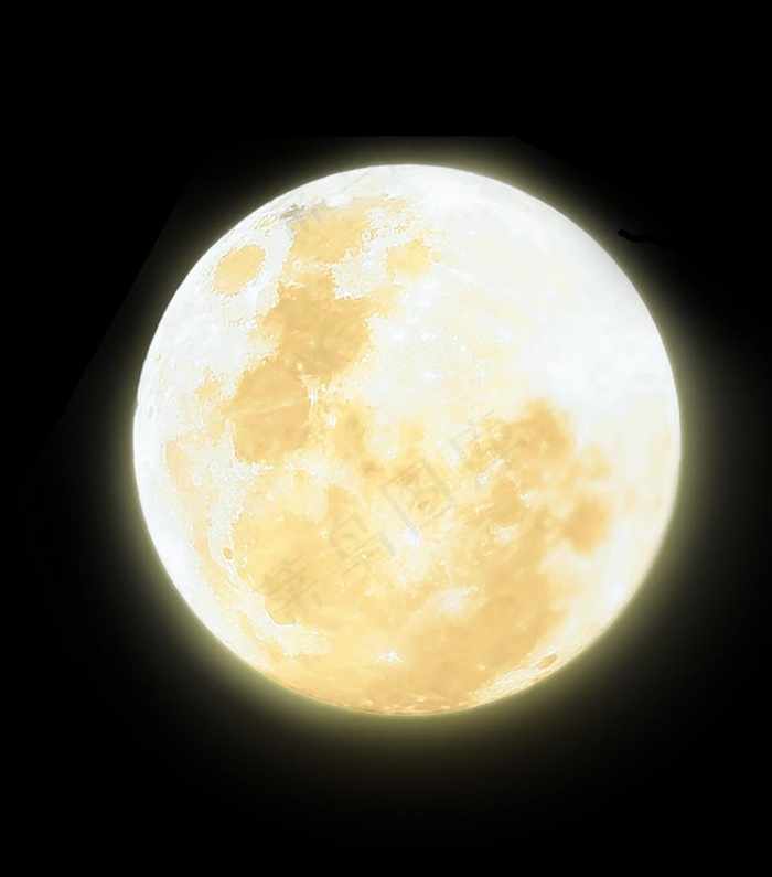 明月 夜明珠图片