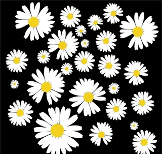 权志龙小雏菊简笔画矢量图图片