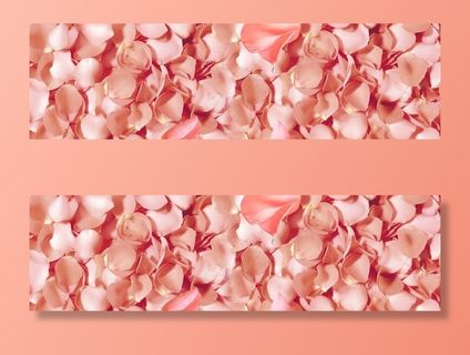 玫瑰花瓣贴图图片