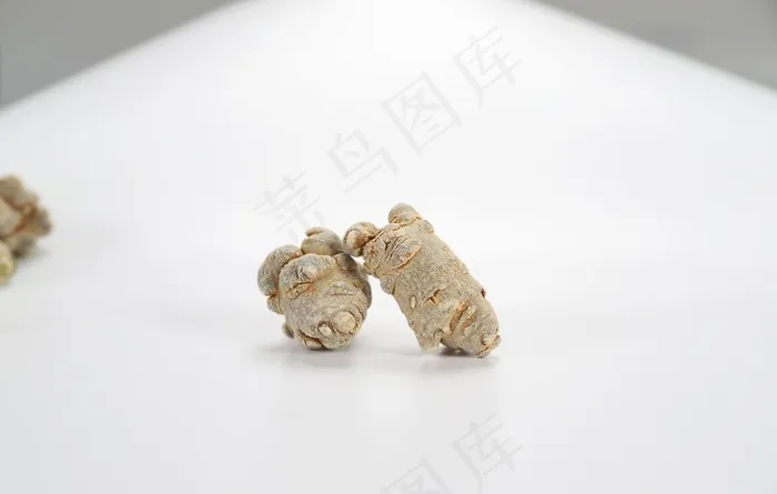 三七宣传海报 三七图片