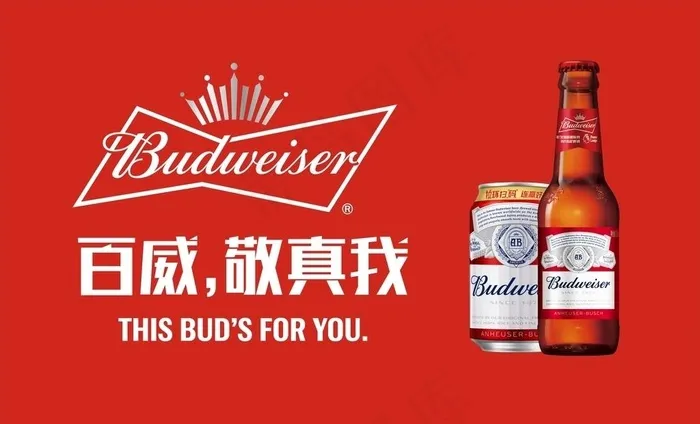 百威啤酒图片cdr矢量模版下载