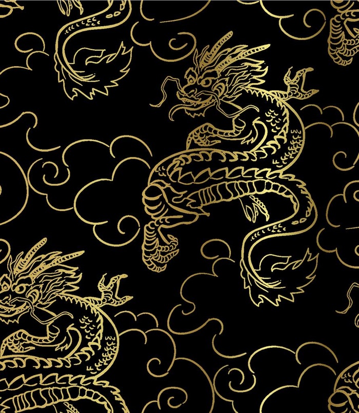 龙图片eps,ai矢量模版下载