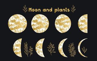 月球月亮月食月圆图片