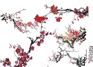 梅花图片