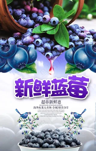 新鲜蓝莓海报图片