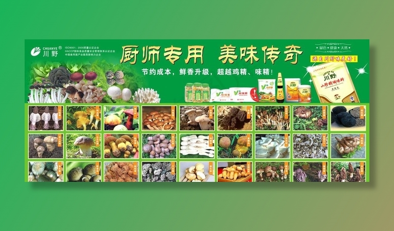 天然食用野生菌图片cdr矢量模版下载