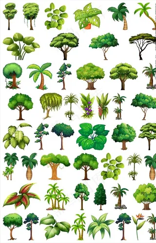 矢量树图片
