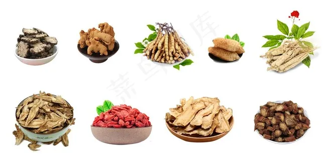 药材图片 药材图片
