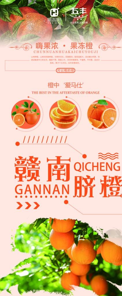赣南脐橙易拉宝图片