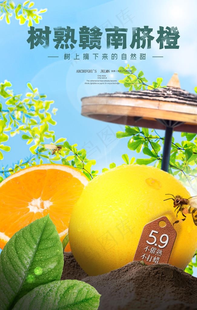 橙子水果活动宣传海报素材图片(3543X5315(DPI:150))psd模版下载