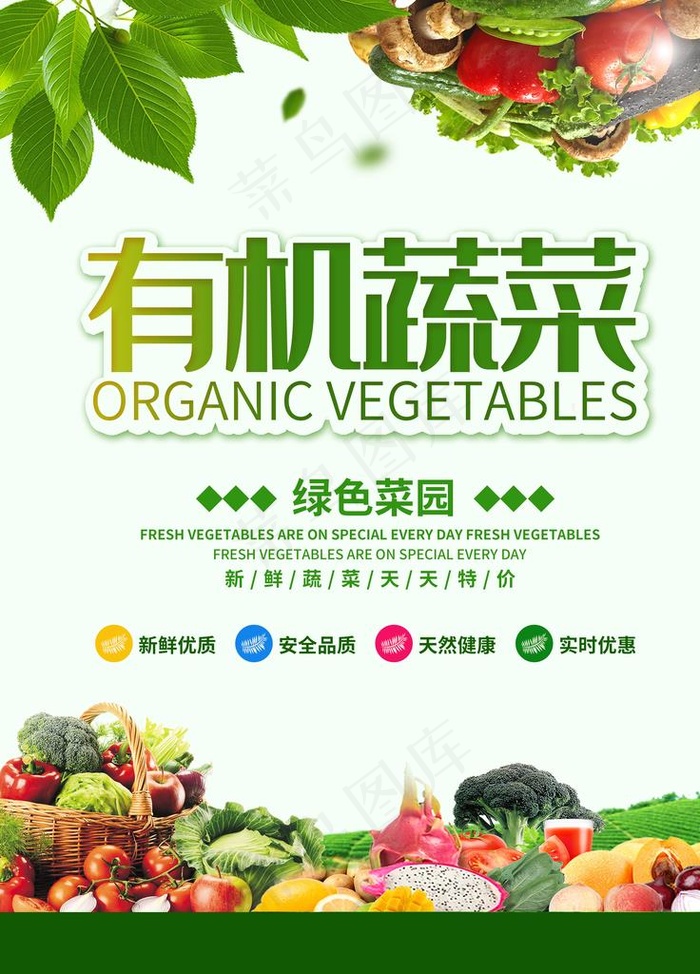 蔬菜海报图片psd模版下载