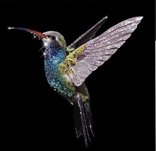 蜂鸟晶瓷画图片