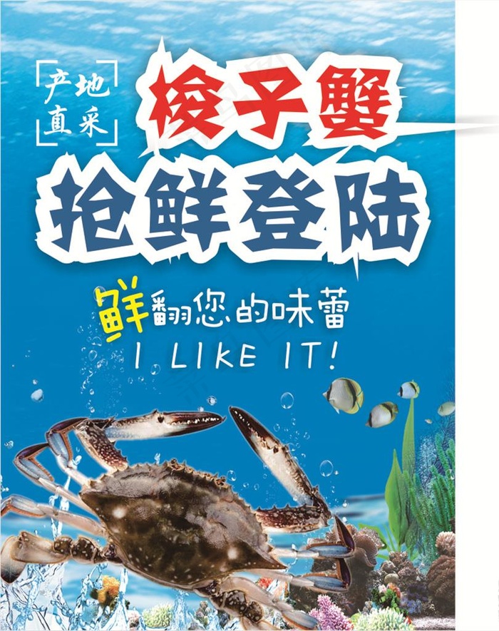 梭子蟹广告图片(148X210)cdr矢量模版下载
