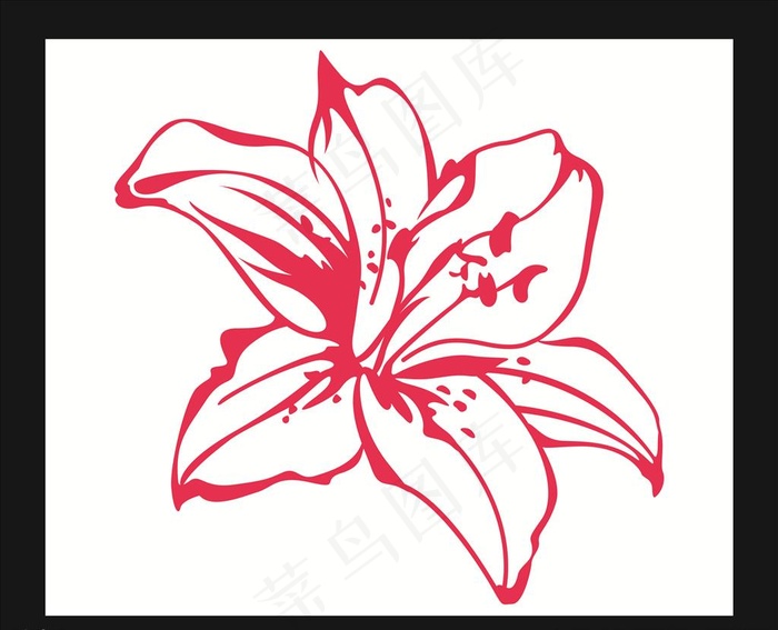 矢量百合花图片