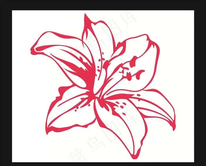 矢量百合花图片cdr矢量模版下载