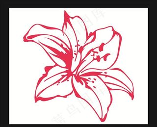 矢量百合花图片