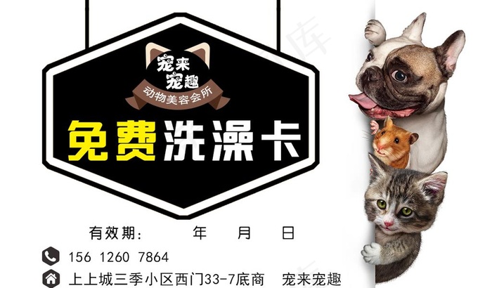 宠物卡图片psd模版下载