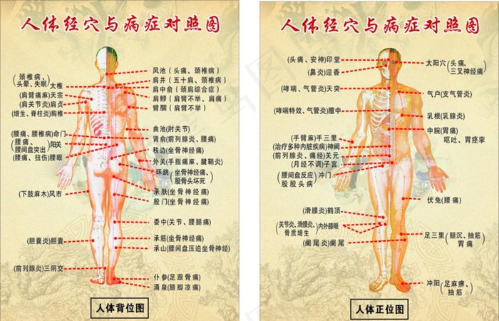 人体经穴与病症对照图图片(500X700)cdr矢量模版下载