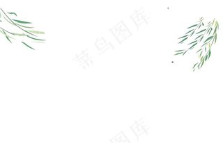 柳叶图片