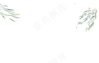 柳叶图片