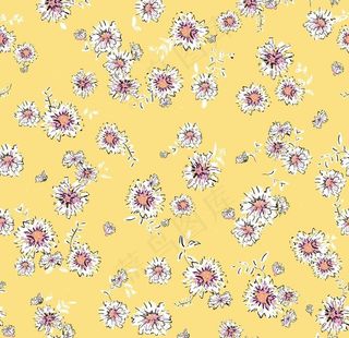 2020大牌 新款小雏菊图片