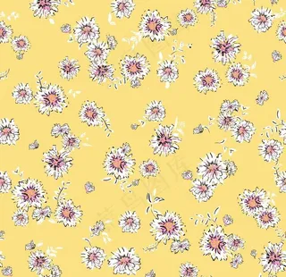 2020大牌 新款小雏菊图片