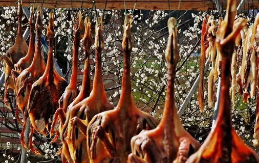 腊鸭子摄影图片