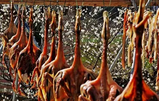 腊鸭子摄影图片