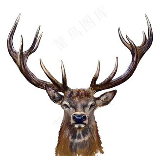 北欧小清新森林麋鹿动物装饰画图片