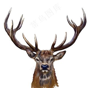 北欧小清新森林麋鹿动物装饰画图片