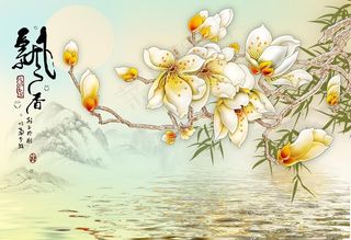 花卉背景墙图片