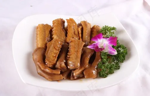 卤水掌亦图片 卤水掌亦图片